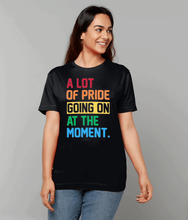 Gildan Heavy Cotton T-Shirt Black "A lot of pride going on"